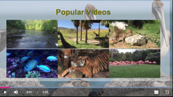 Popular Videos Overlay