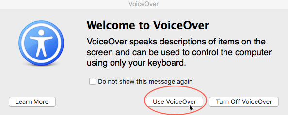 Use VoiceOver dialog window