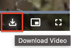 Download Button